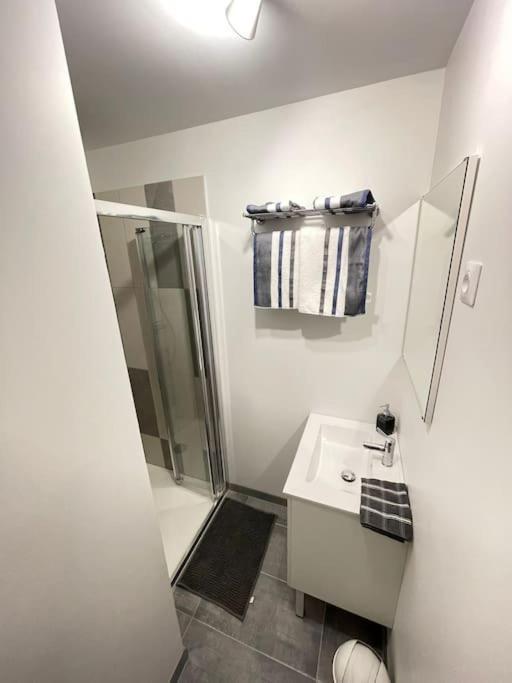 La Maisonnette Saint-Quentinoise Kültér fotó
